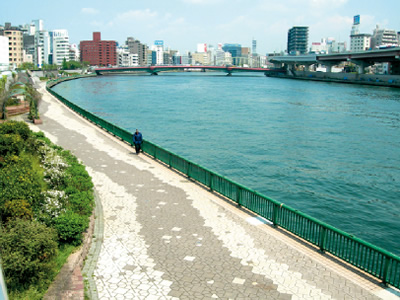 隅田川護岸